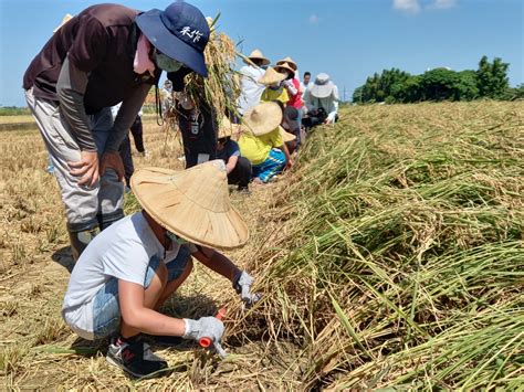 傳統米桶|米食文化傳承與推廣(農業部全球資訊網)